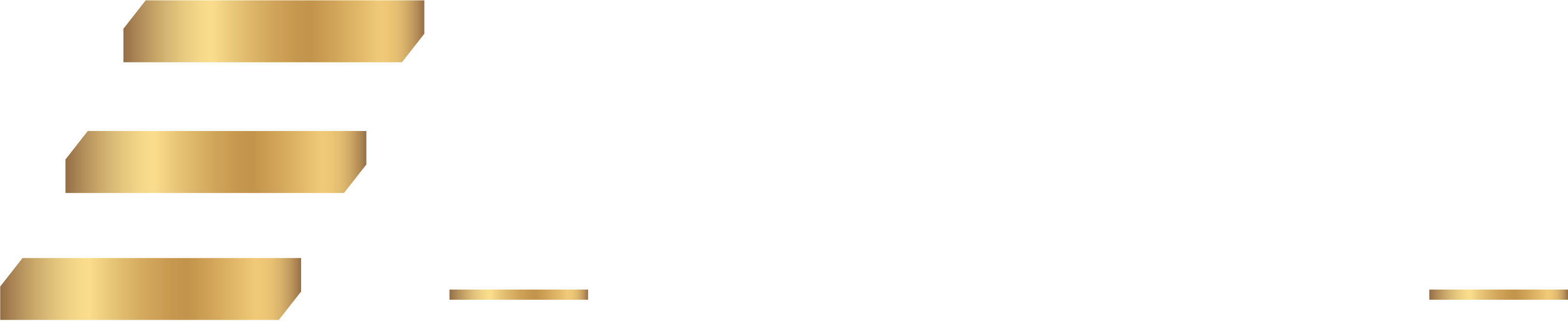 Genesy Ventures Studio